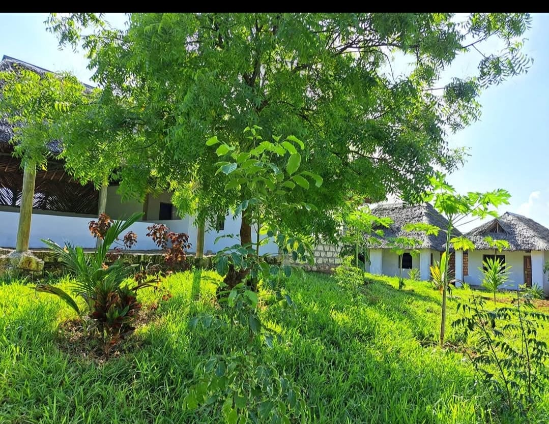 CJay's Guest House